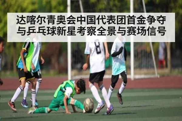 达喀尔青奥会中国代表团首金争夺与乒乓球新星考察全景与赛场信号